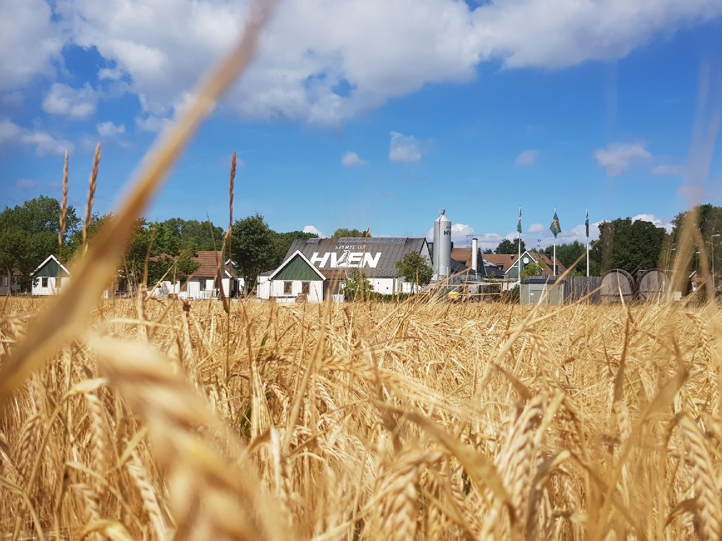S�desf�lt Hven